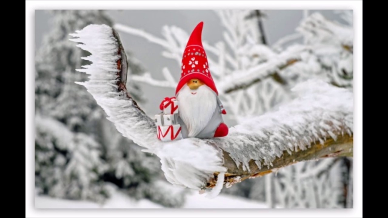 si accendono e brillano