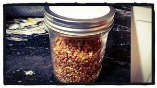 Making Grain Spawn Jars || Propagating Oyster Mushrooms PART 3