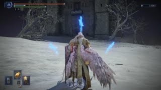 守護者ソロ　vsナメレス