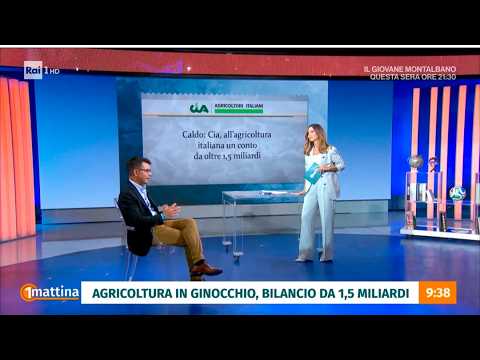 UNOMATTINA - Crisi climatica dal campo allo scontrino. Con Stefano Calderoni, Cia