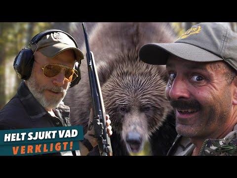Skytteträning inför jaktsäsongen - Skjuter björnprovet på tomten!