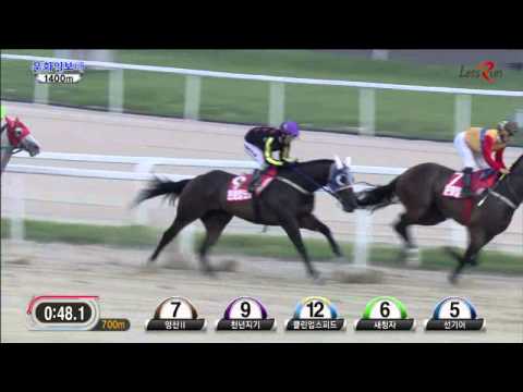 Munhwa Ilbo Stakes 2014 - Yeongsan II