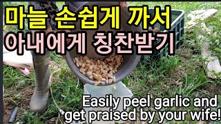 마늘 손쉽게 까주라~주라~Easily peel garlic and get praised by your wif…