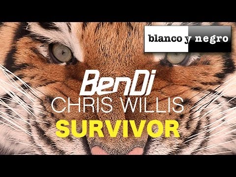 Ben DJ & Chris Willis - Survivor (Official Audio)