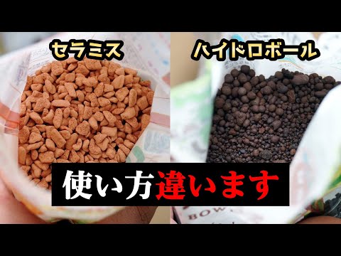 ローン・シュミーレ、ヴァルトシュミーレ 植物