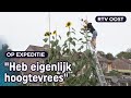 Jeroen (35) kweekt mega-zonnebloemen van zes meter hoog | RTV Oost
