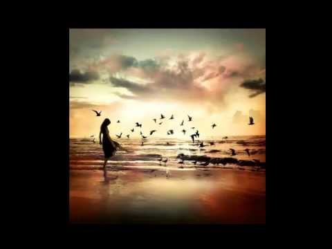 Frank Borell - Point of view