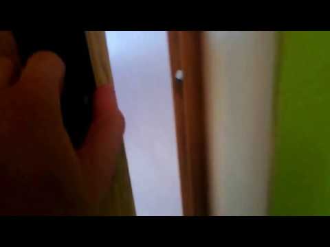 boy with haircut so funny that the Polish player is going to have a lot of rage