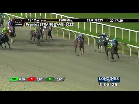 230122 c12 DIBUJE MAESTRO