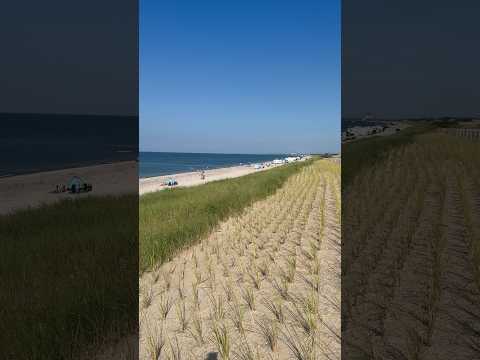 Sandy Neck Beach — An Unexpected Surprise in Cape Cod! 🌊🏖️ #shorts #summer #travel