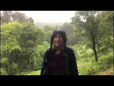 Play Video Youtube Video