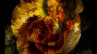 Jess Roden - Misty Roses.