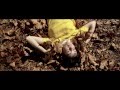 George Harrison What Is Life Video By Brandon Moore Winner Of Genero Tv Competition