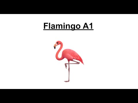 Flamingo A1
