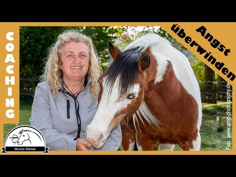 Panische Angst vorm Reiten - ich helfe durch fachkundiges Coaching | Hirnforschung EMDR Psychologie