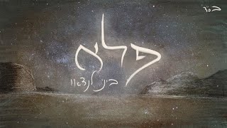 ביני לנדאו - פלא