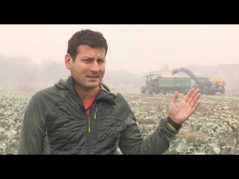 Može bolje ep. 88 10.12.2018. - Ubiranje kupusa