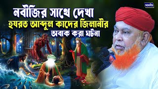নবীজির সাথে দেখা হযরত আব্দুল কাদের জিলানীর অবাক করা ঘটনা আল্লামা আবুল কাশেম নুরী । Abul Kashem nuri