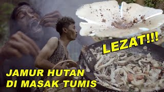 Download lagu TUMIS JAMUR DAN PAKIS HUTAN YANG LEZAT || COOKING FRESH MUSHROOM IN THE FOREST || PRIMITIVE LIVE mp3