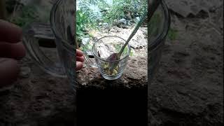 Download lagu BENEFITS OF STRAWBERRY #Shorts mp3