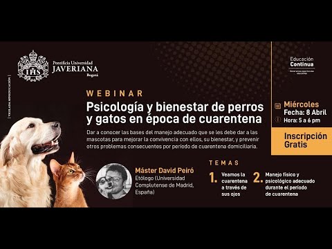 CUARENTENA DOMICILIARIA: PSICOLOGÍA, MANEJO Y BIENESTAR DE PERROS Y GATOS. U.Javeriana (Co)-FOGAUS