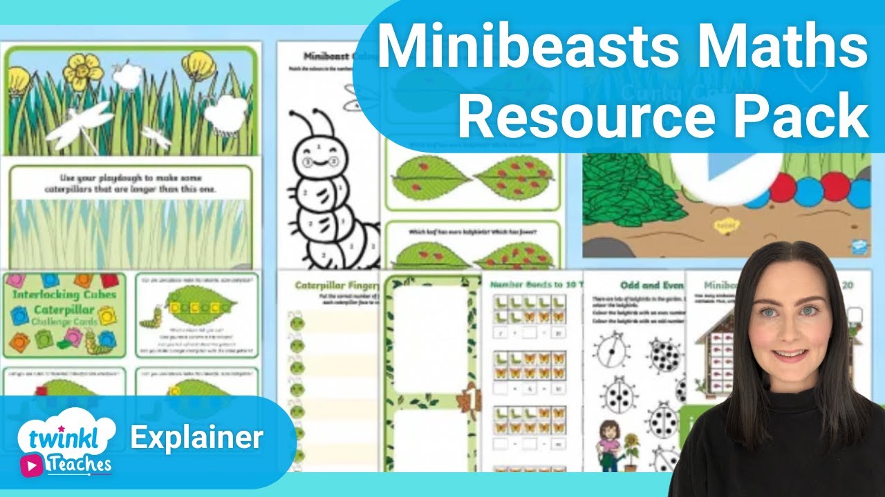 EYFS Minibeasts Maths Resource Pack