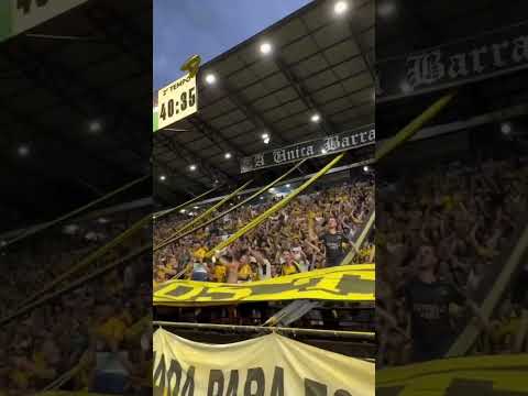 Barra do Criciúma de Santa Catarina-BR ( Os Tigres🇧🇳🎷) 🎥​⁠@tvtigre