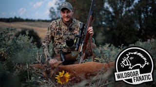 Französische Rehböcke | Der krumme Sechser (Hunt On Demand Free Episode)