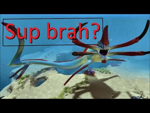 William Shakespeare - A Midsummer Night's Dream Act 2 Scene 1 Genius