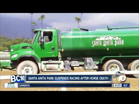 Santa Anita suspends racing after latest horse death