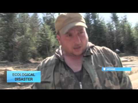 Ukraine's Forests On Verge of Extinction: Illegal poaching ruins unique Carpathian eco-system