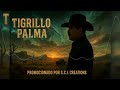 El Rayo - Tigrillo Palma