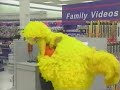 Sesame Street Big Bird Gets Lost Trailer 0 50 Pitch