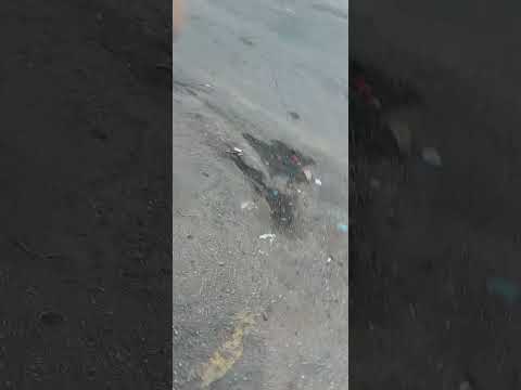 Cidade de Angatuba-SP, parte II