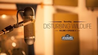 Invisible Familiars - Pt. 2, Recording Disturbing Wildlife | Shaking Through