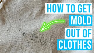 Download lagu How to GET MOLD OUT OF CLOTHES | mold stains removal! mp3 Download lagu How to GET MOLD OUT OF CLOTHES | mold stains removal! mp3