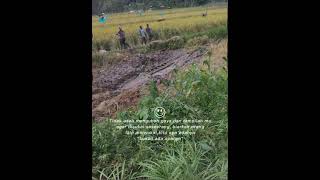 Download lagu story wa terbaru||30 detik mp3 Download lagu story wa terbaru||30 detik mp3