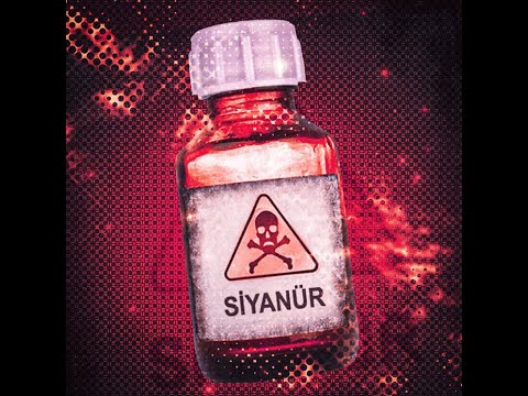 RAİZADA - SİYANÜR (Official Audio)