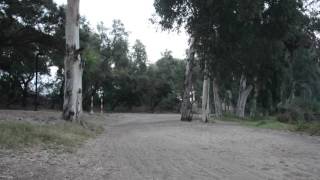 Mi amiga la Soledad - Reflexión No.84