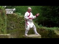 TUTO TAICHI 2 La Postura Del Gato