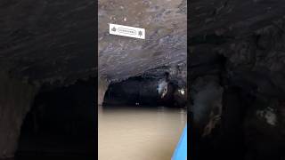 Phong Nha Ke Bang CAVE -Vietnam 🇻🇳😱 | #cave #shorts #adventure