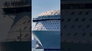 Wonder of the Seas 🛳️ #like #share #comment #subscribe #youtubeshorts #shortvideo #short #shorts