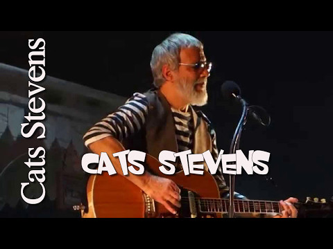 Cat stevens Greatest Hits Full Album Live 2017 - Best Of Cat Stevens Songs