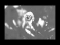 Suria - Death by Plane (Team Sleep cover) 