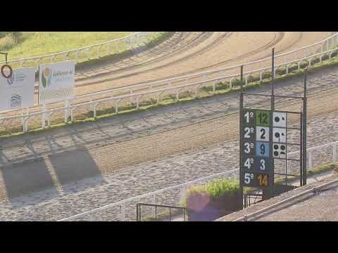 HIPODROMO LAS PIEDRAS EN VIVO 26-12-2025