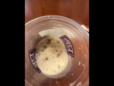PJs Coffee - Coffee made it wrong. They refuse to remake.