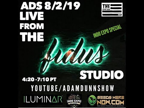 Live from Fidus Studio - Indo Expo Portland 2019 Special
