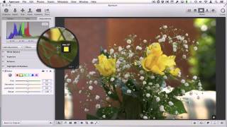 How to Highlight Colours in Black and White Photos With Aperture