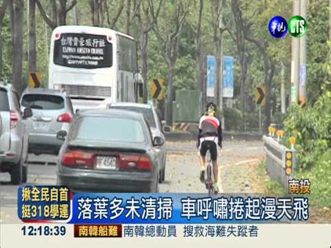 桃花心木大量落葉 遇雨害人滑倒