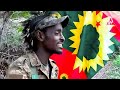 Wallee Jaal Dachee Gammachuu KILAASHIIKOO New Oromo Music 2023